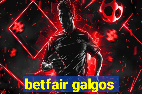 betfair galgos